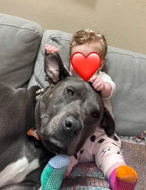 Saranac  Aka "snacks" thumbnail 2