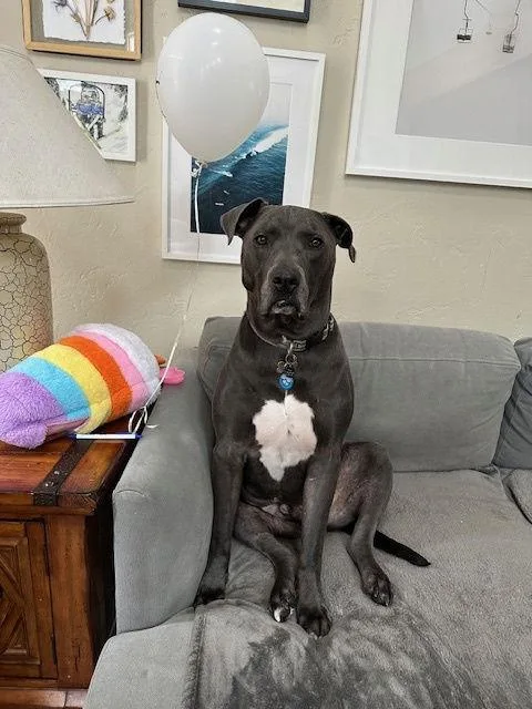 Saranac  Aka "snacks" thumbnail 3