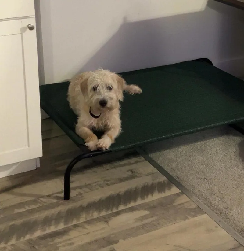 Chloe thumbnail 3