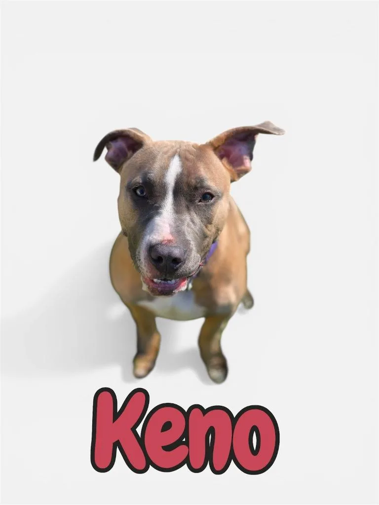 Keno thumbnail 2
