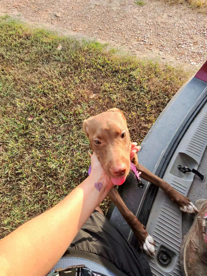 Marley thumbnail 4