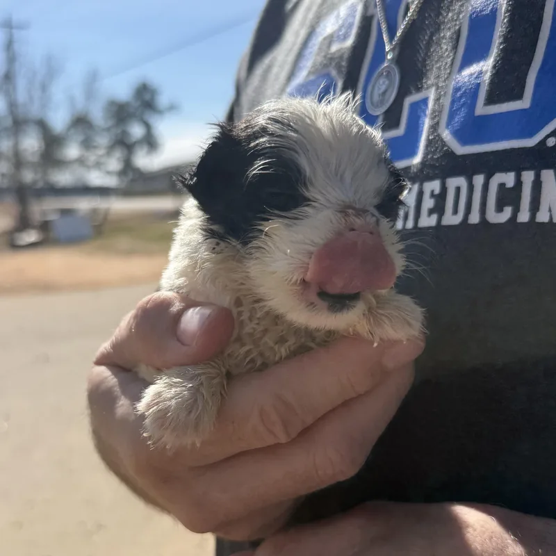 Lava Lamp thumbnail 2