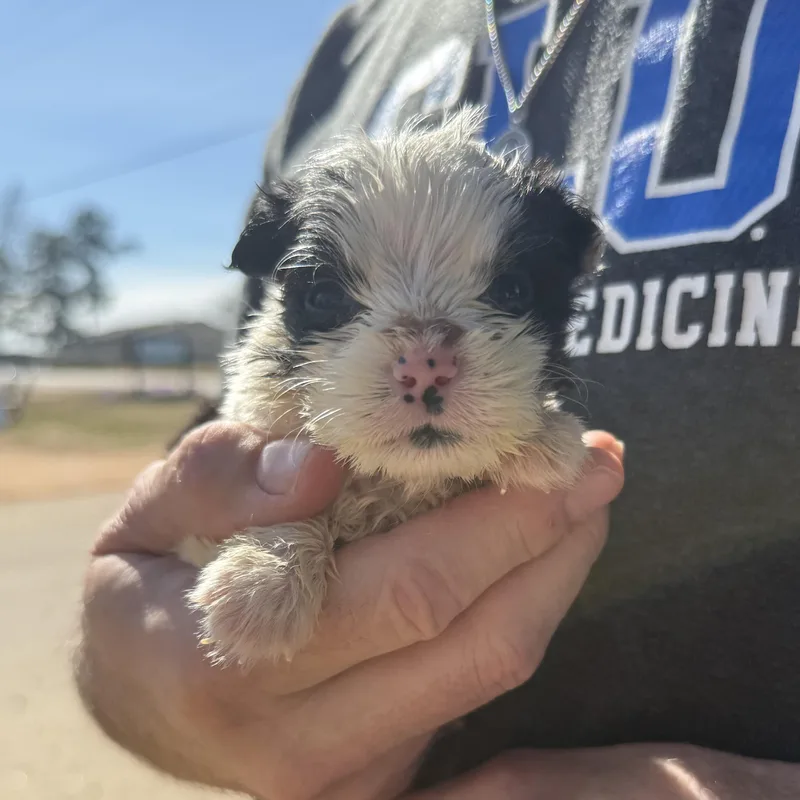 Lava Lamp thumbnail 3