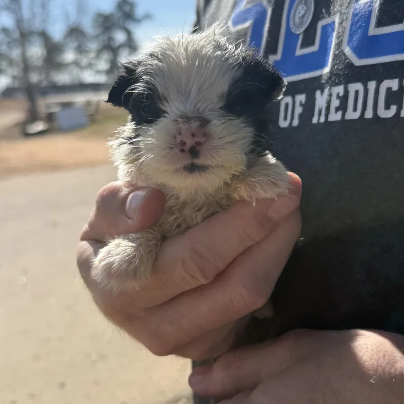 Lava Lamp thumbnail 4