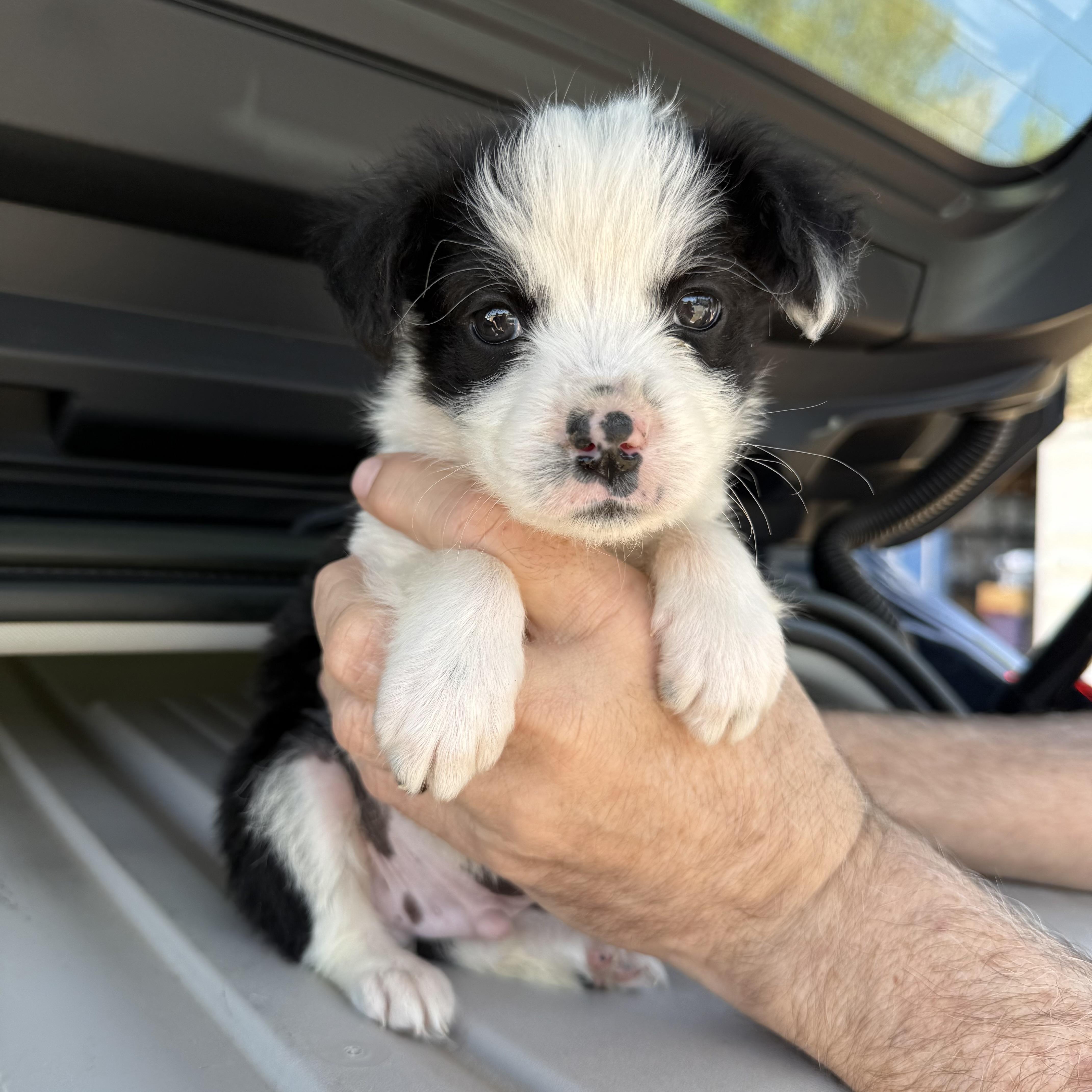 Lava Lamp thumbnail 5