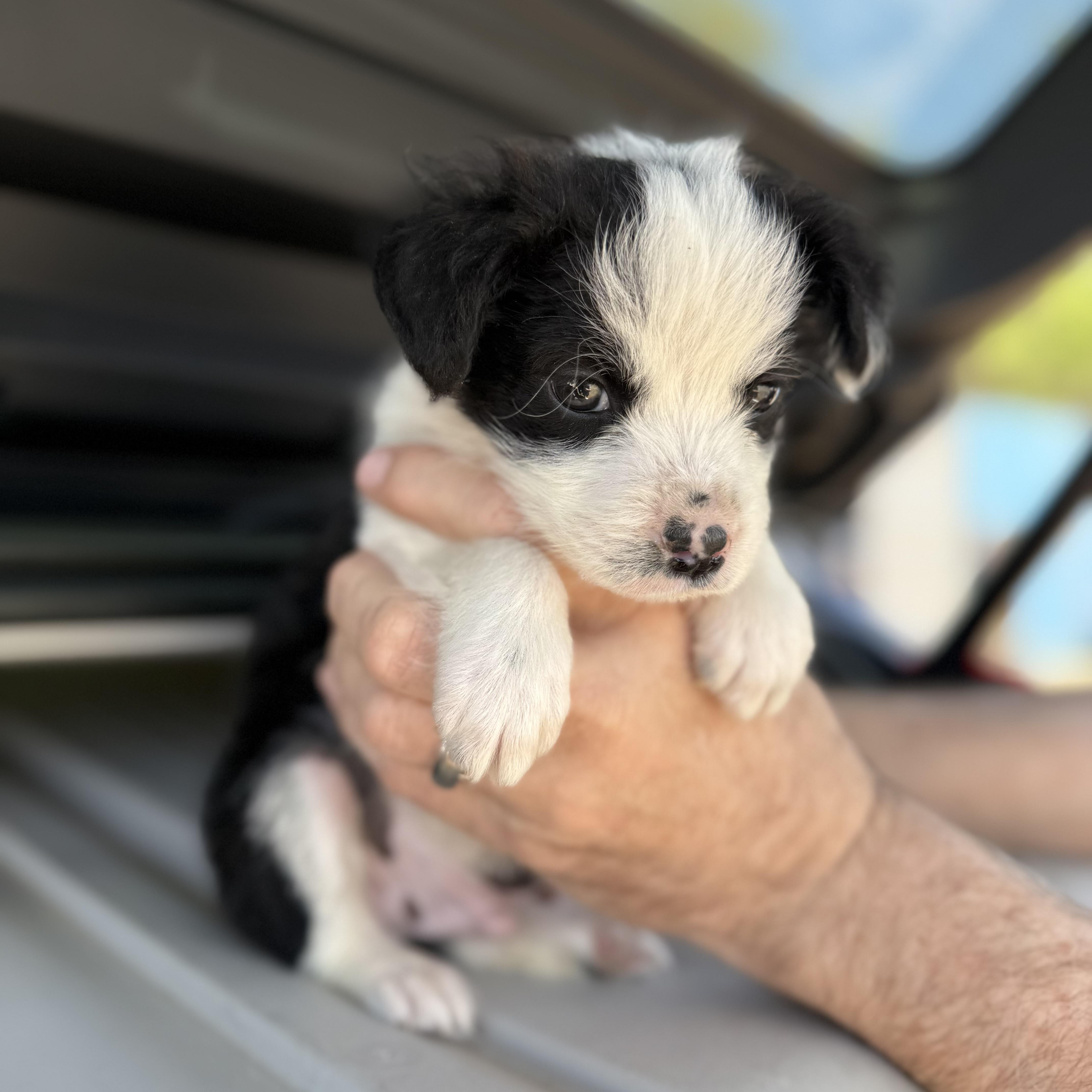 Lava Lamp thumbnail 6