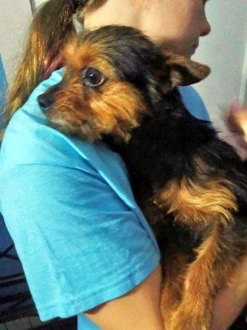 Scarlett thumbnail 3