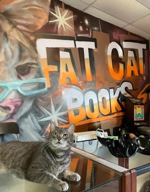 Tom @ Fat Cat thumbnail 3