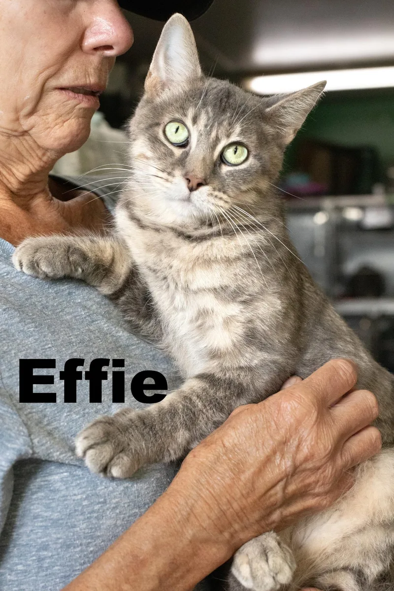 Effie
