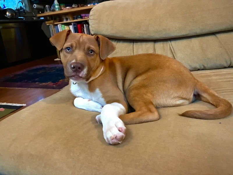 Neutron Star thumbnail 6