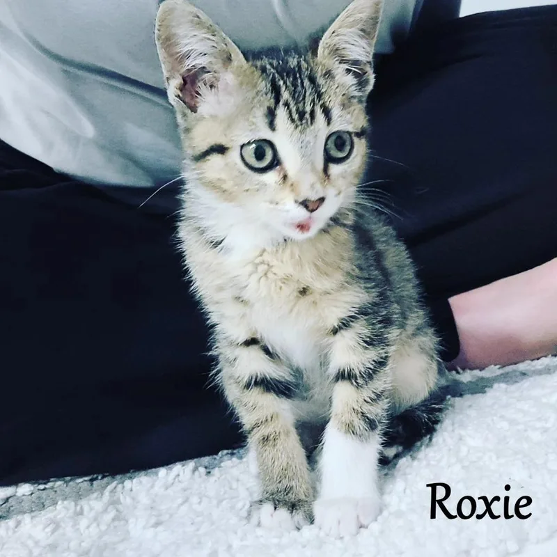 Roxie