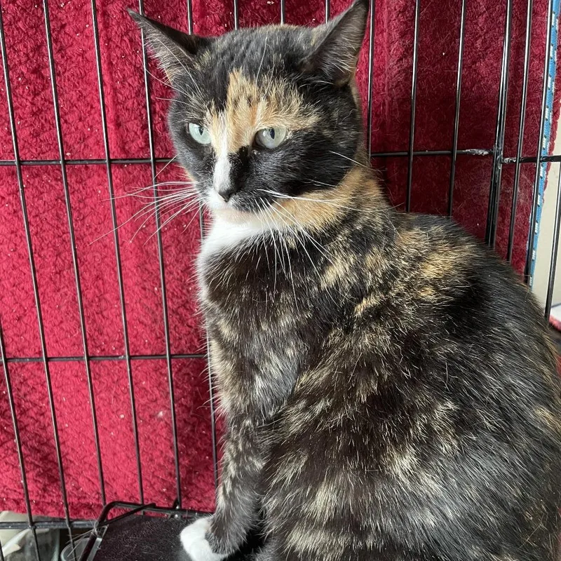 Collette Rayburn thumbnail 3