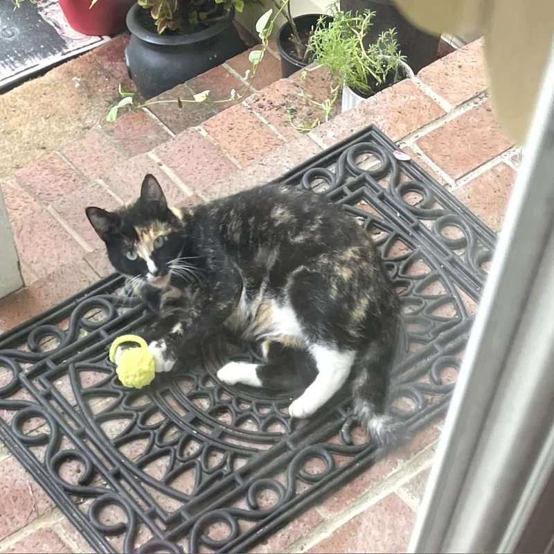 Collette Rayburn thumbnail 4