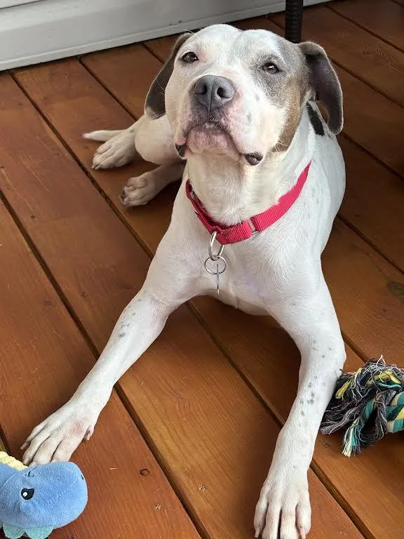 Millie