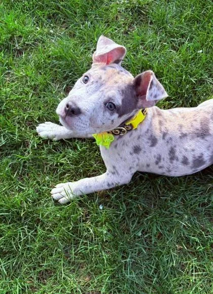 Sunshine thumbnail 2