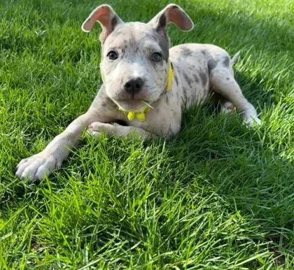 Sunshine thumbnail 3