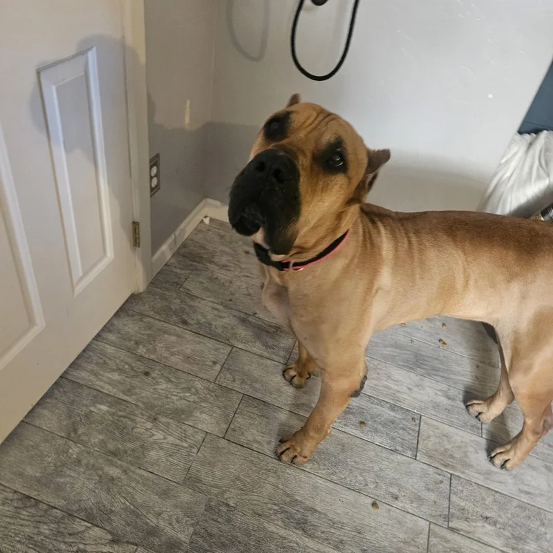 Titan The Mighty thumbnail 2