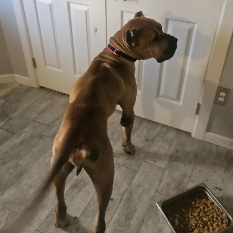 Titan The Mighty thumbnail 3