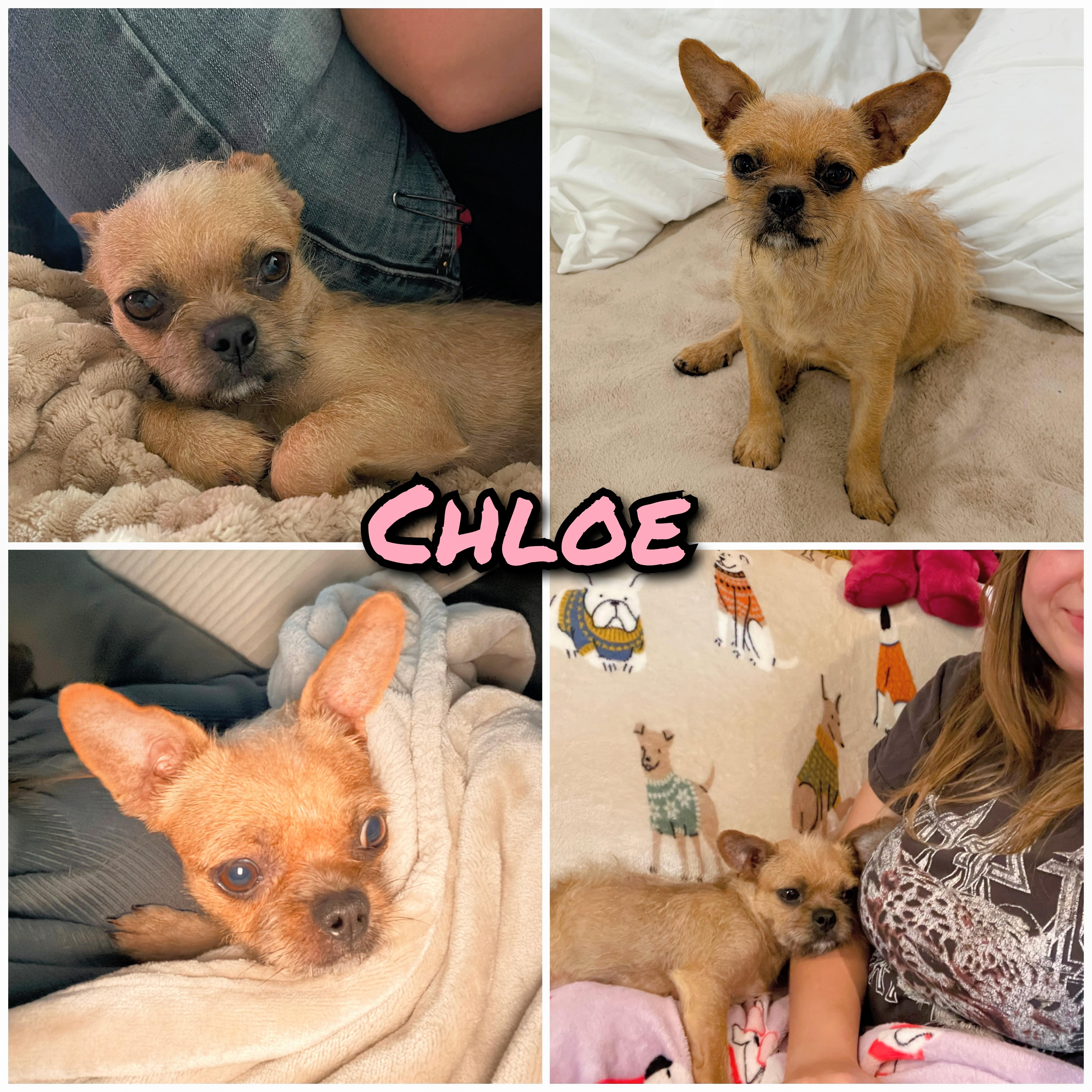Chloe thumbnail 3