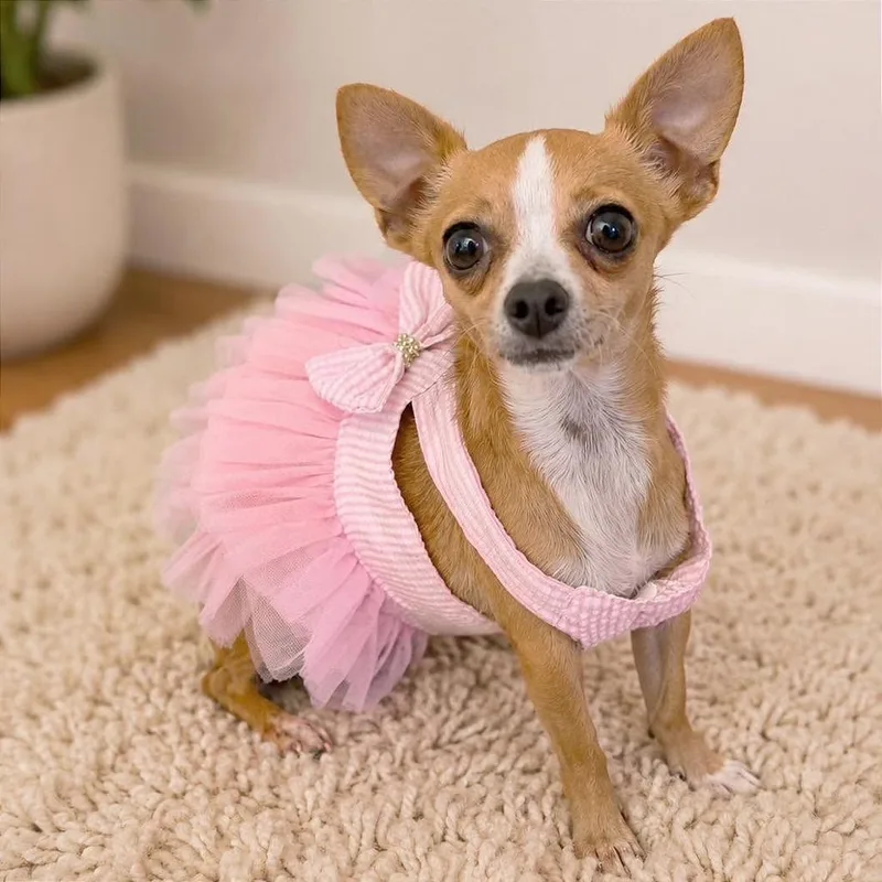 Minnie Cooper thumbnail 2