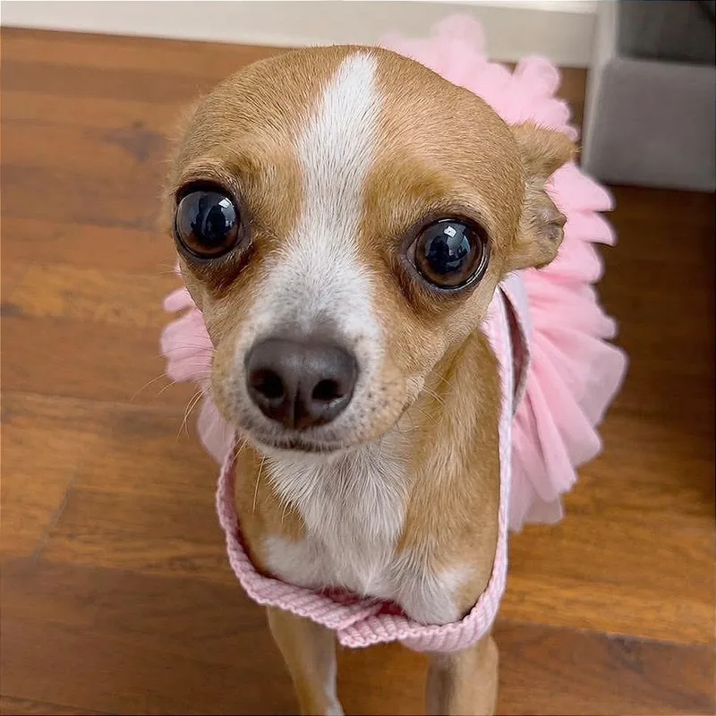 Minnie Cooper thumbnail 4