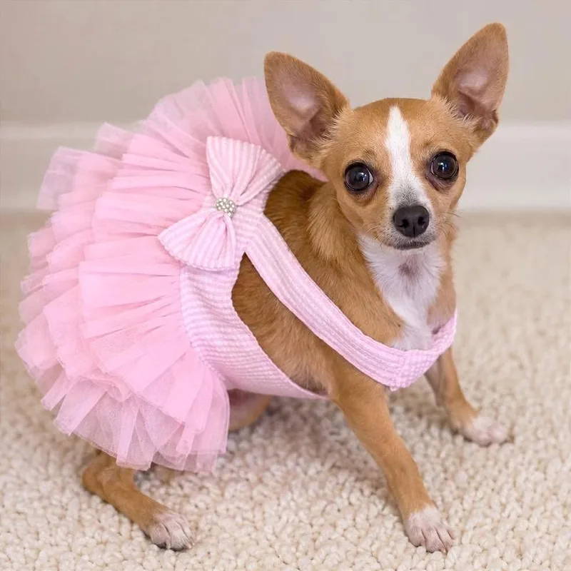 Minnie Cooper thumbnail 5