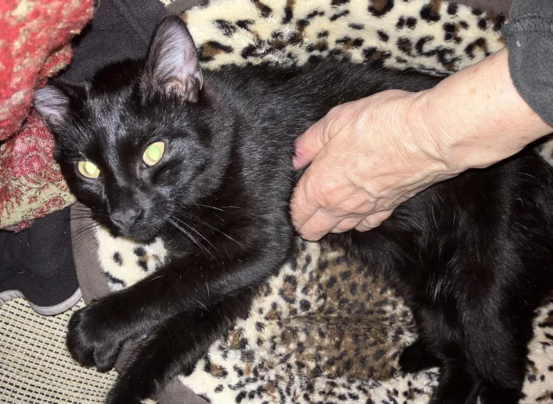 Maksim Maskimovich thumbnail 2