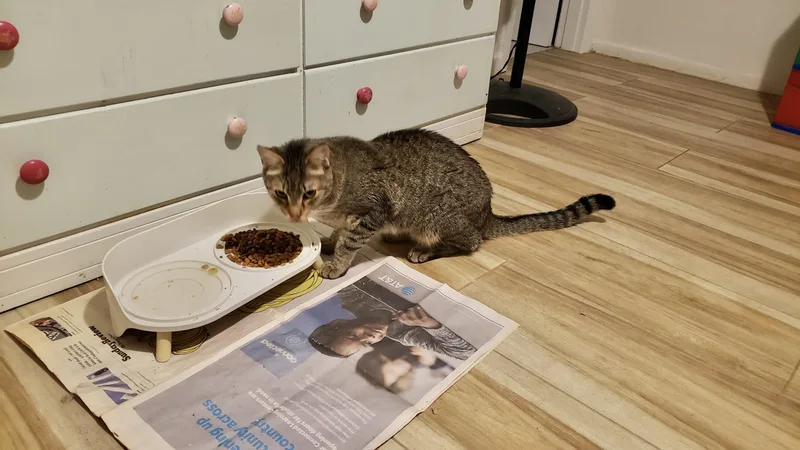 Kirbyvideo Sweet Boy thumbnail 4