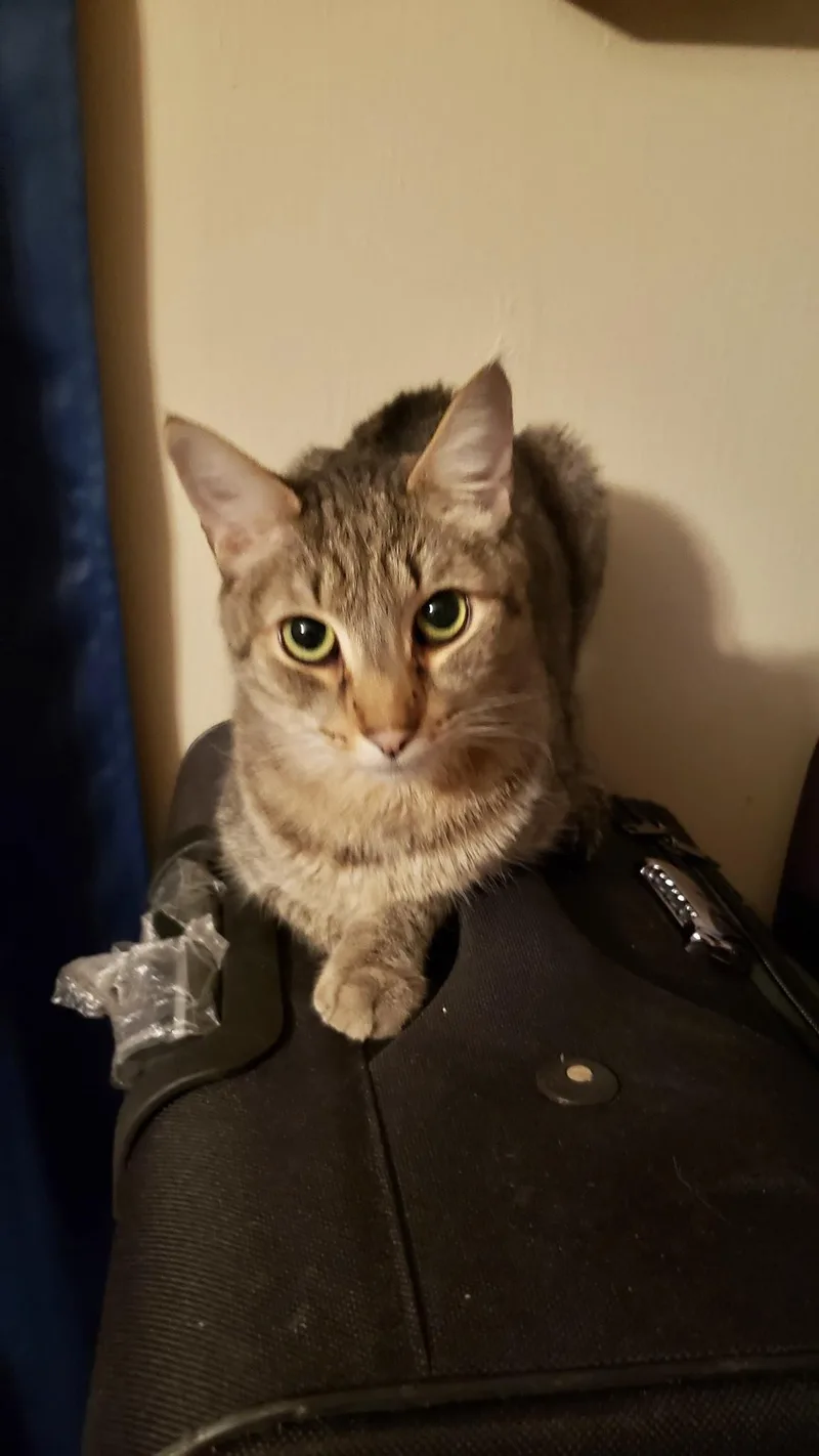 Kirbyvideo Sweet Boy thumbnail 5