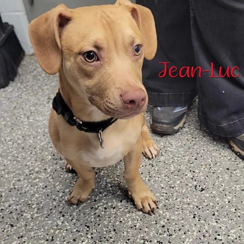 JeanLuc