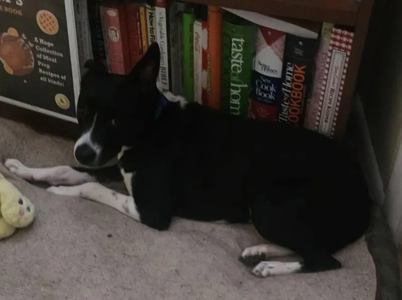 Maggie