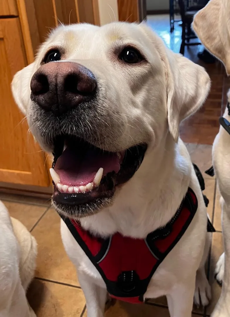 Maggie