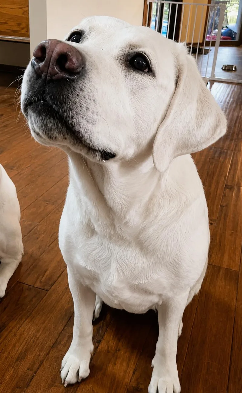 Maggie thumbnail 2