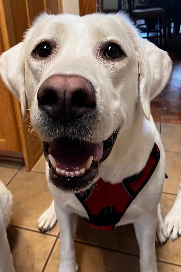 Maggie thumbnail 3