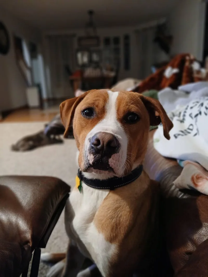 Johnny  In Training!