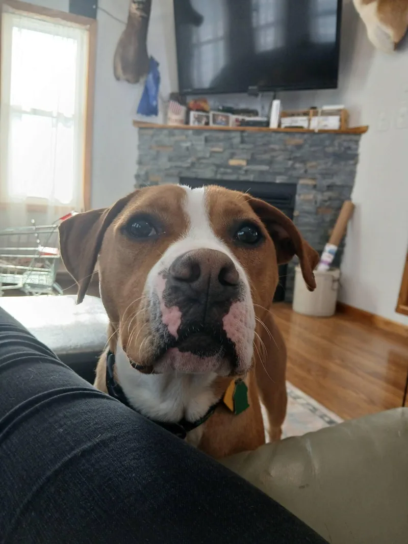 Johnny  In Training! thumbnail 2