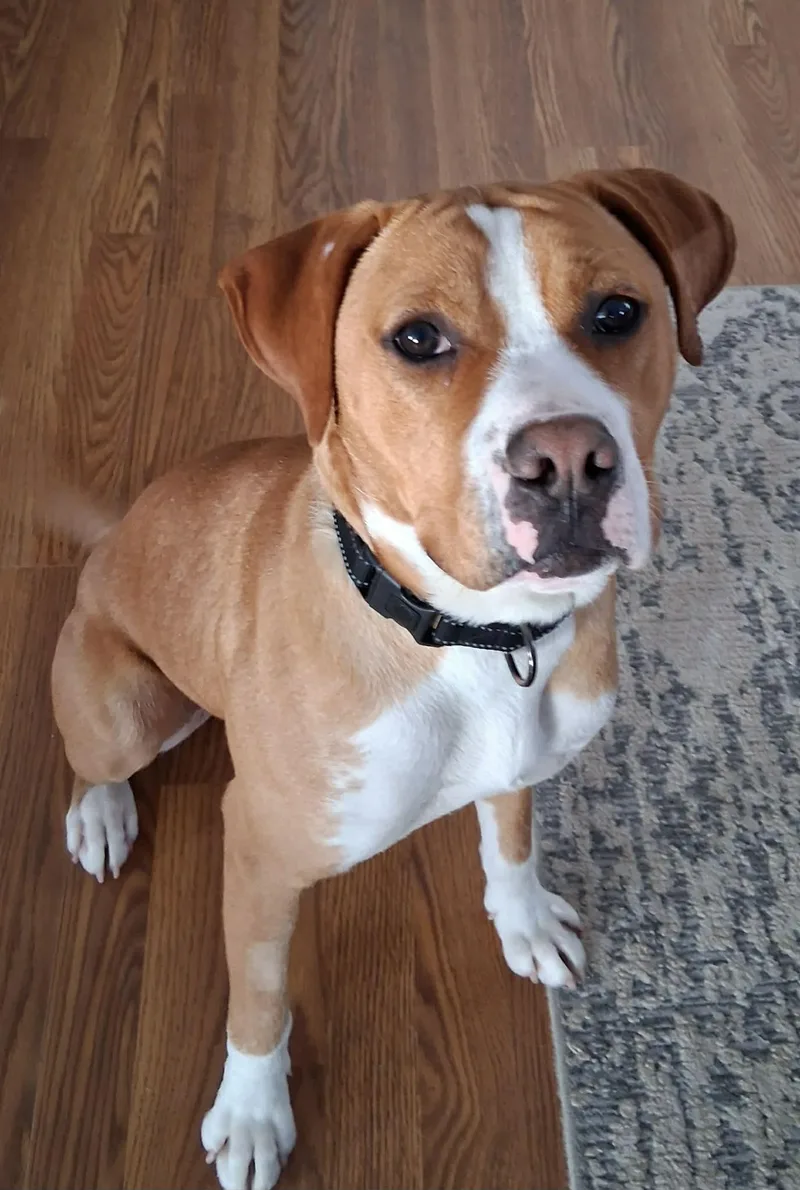 Johnny  In Training! thumbnail 3