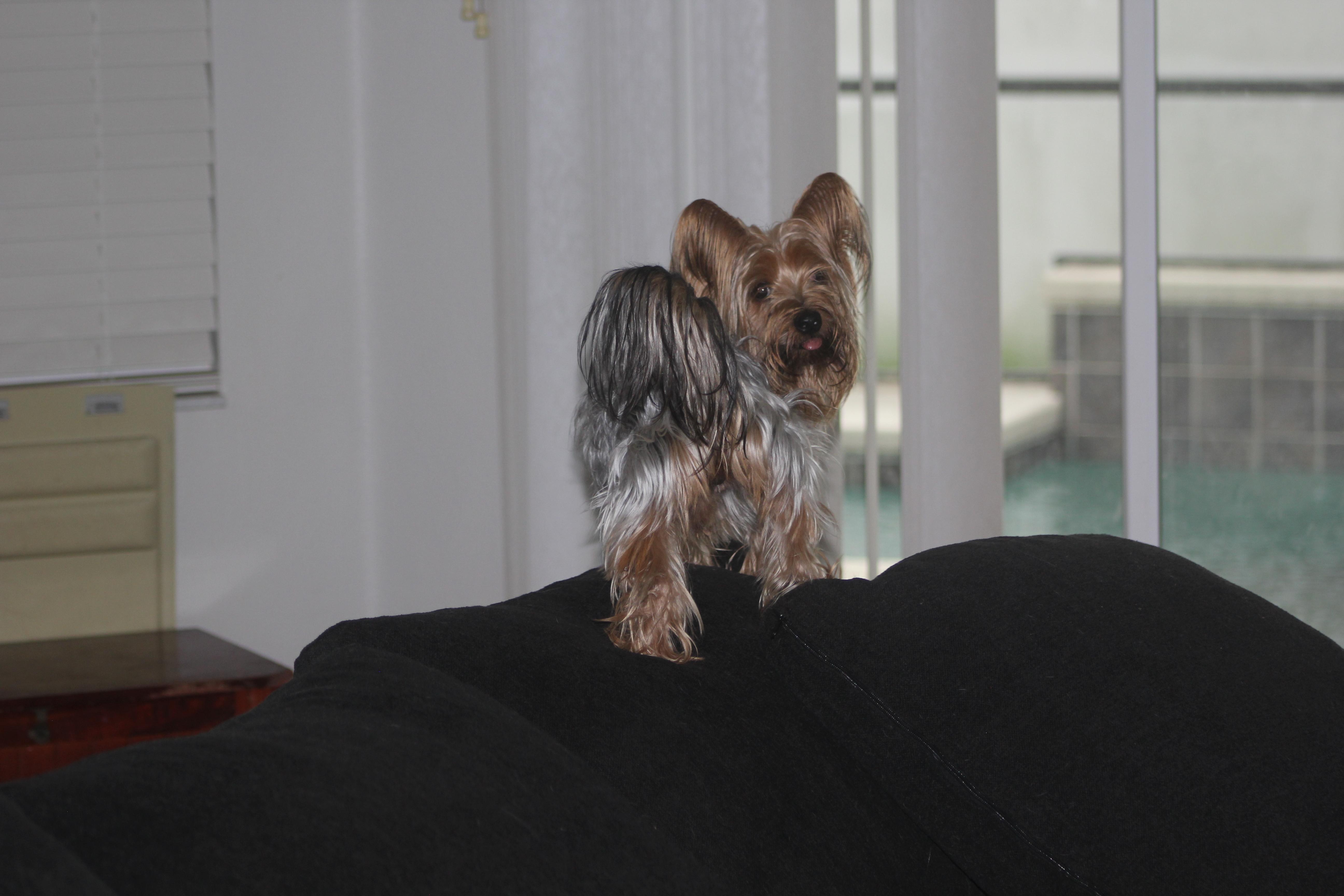 Bexley thumbnail 2