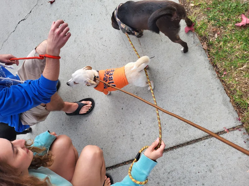 Vanilla Bean And Vanilla thumbnail 4