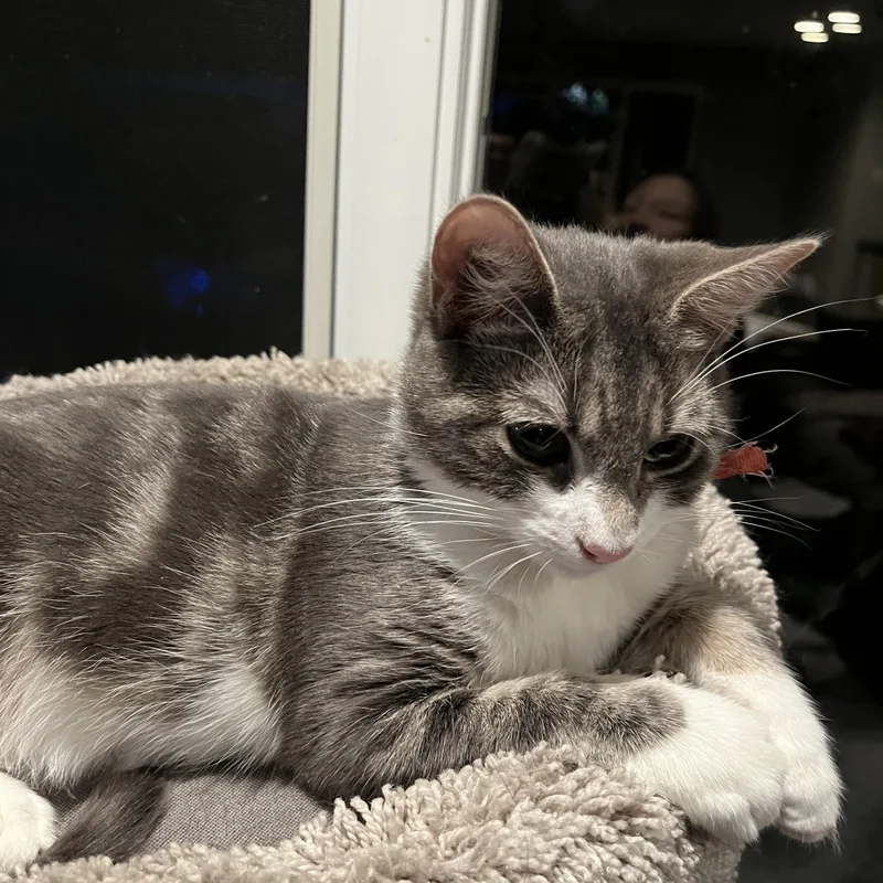 Kemberly thumbnail 2