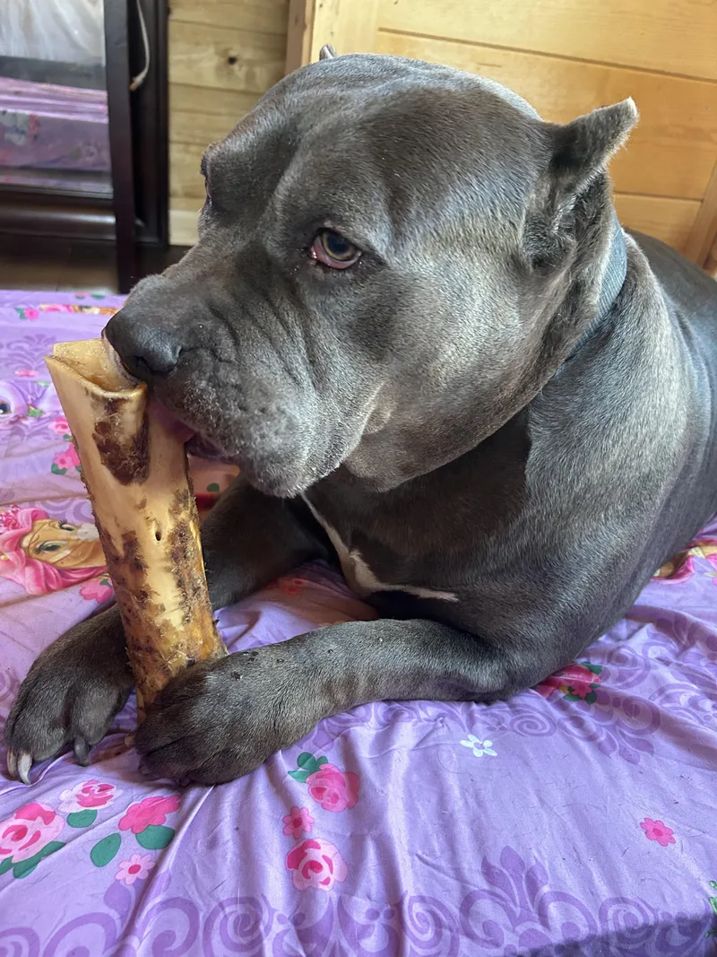 Zeus Aka Richard Aka thumbnail 4