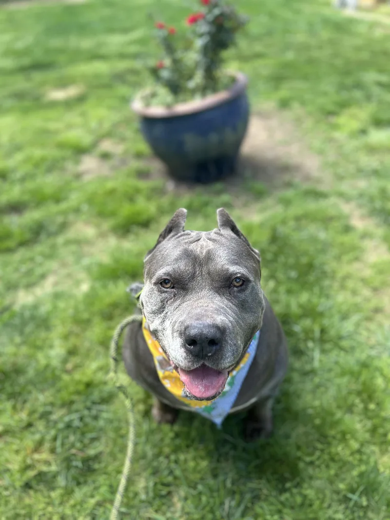 Zeus Aka Richard Aka