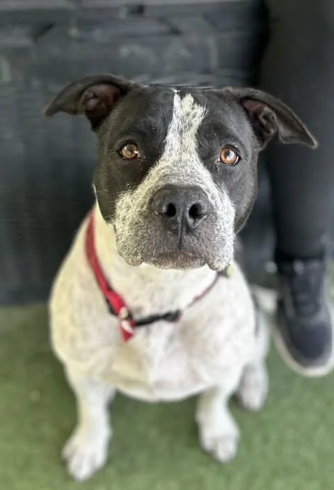 Sloucher thumbnail 2