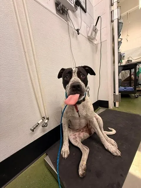 Sloucher thumbnail 3