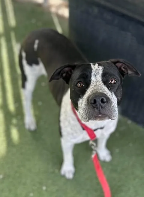 Sloucher thumbnail 6