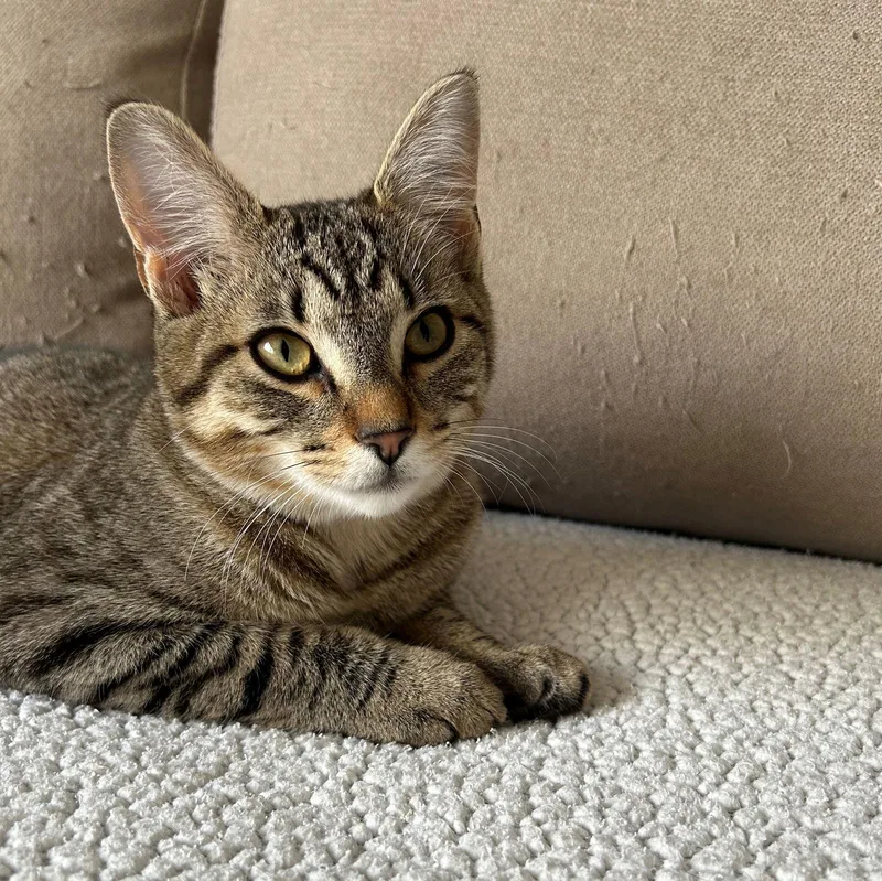 Ellie May & Meadow thumbnail 2