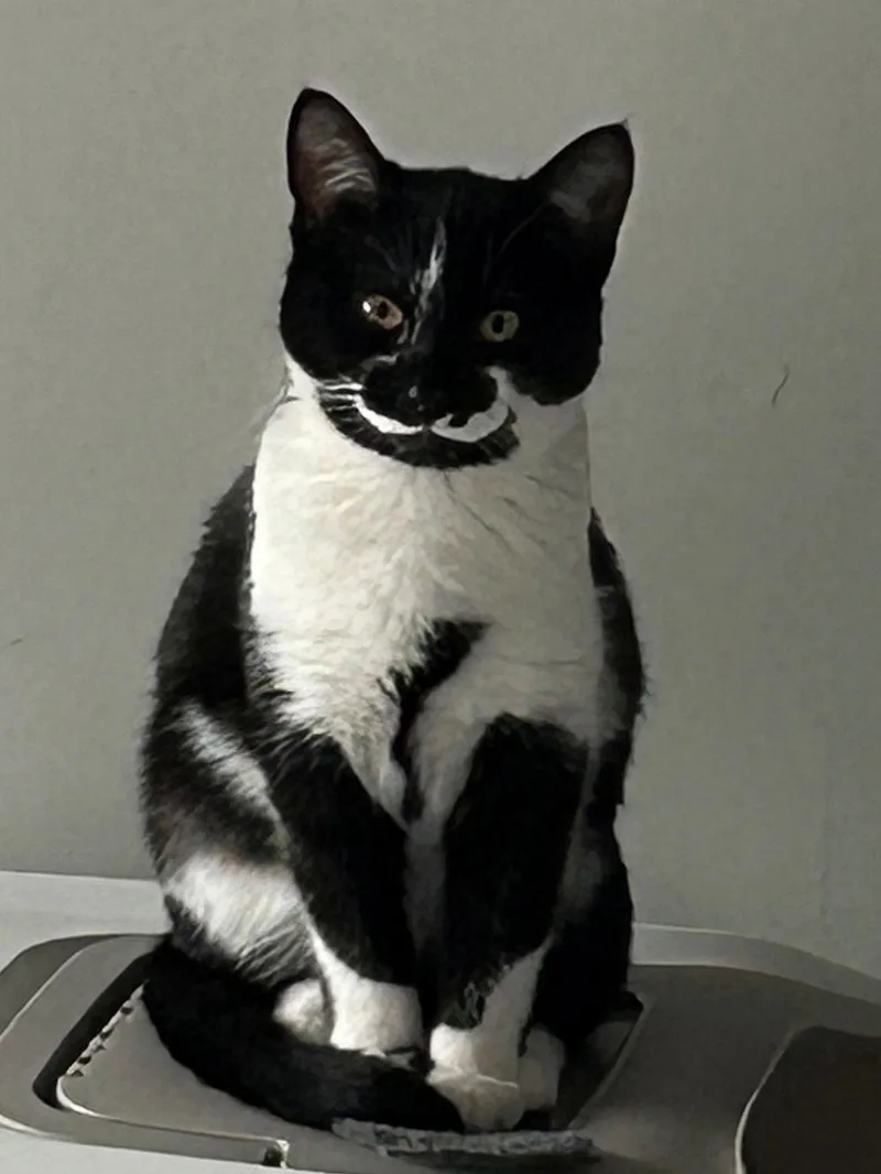 Ellie May & Meadow thumbnail 3