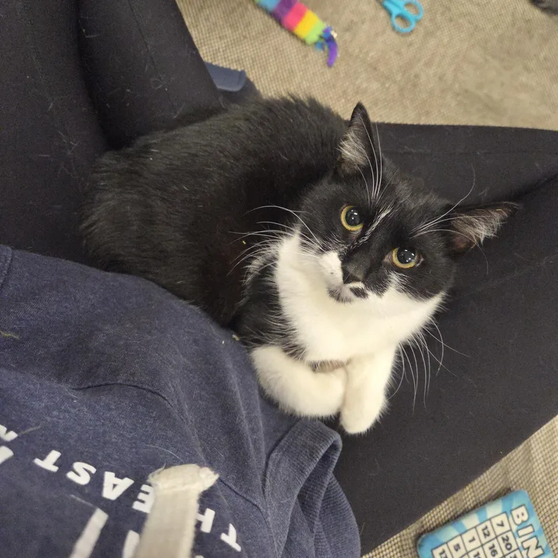 Ricearoni thumbnail 3