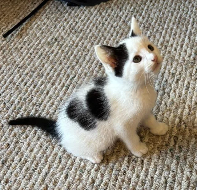 Benny