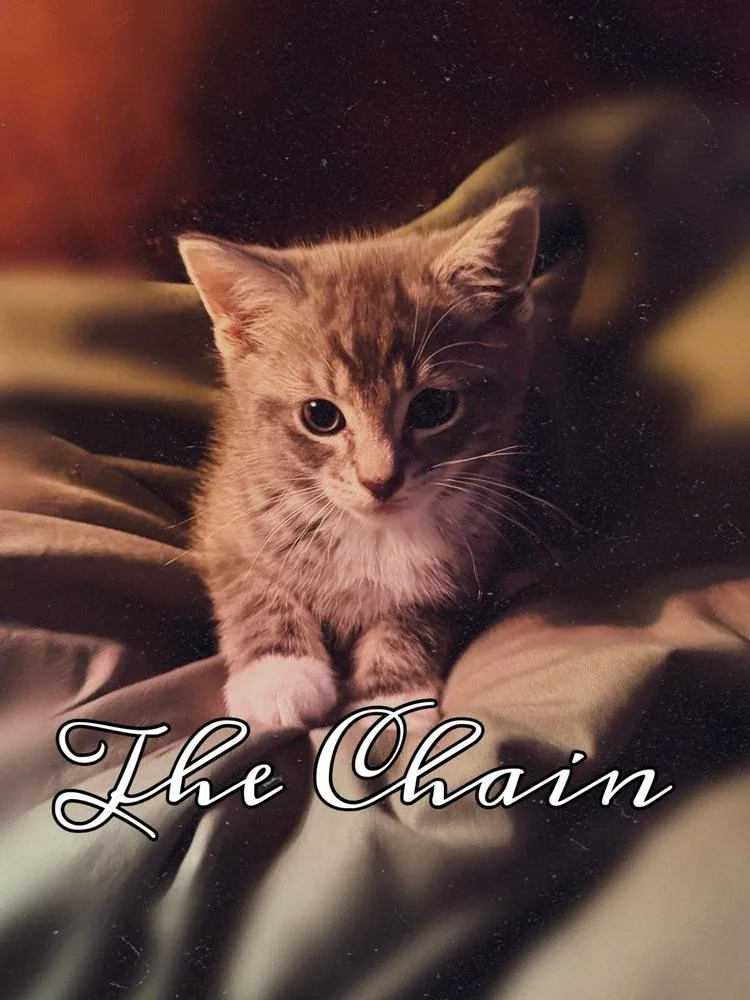 Rumours: The Chain thumbnail 5